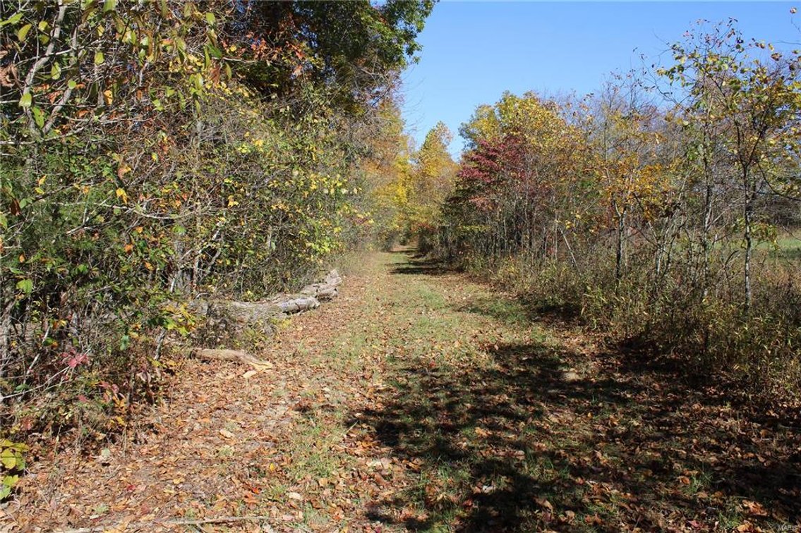 Image for 40 Acres M/L, County Road 60-327 Ellsinore 63937, MLS 23064102