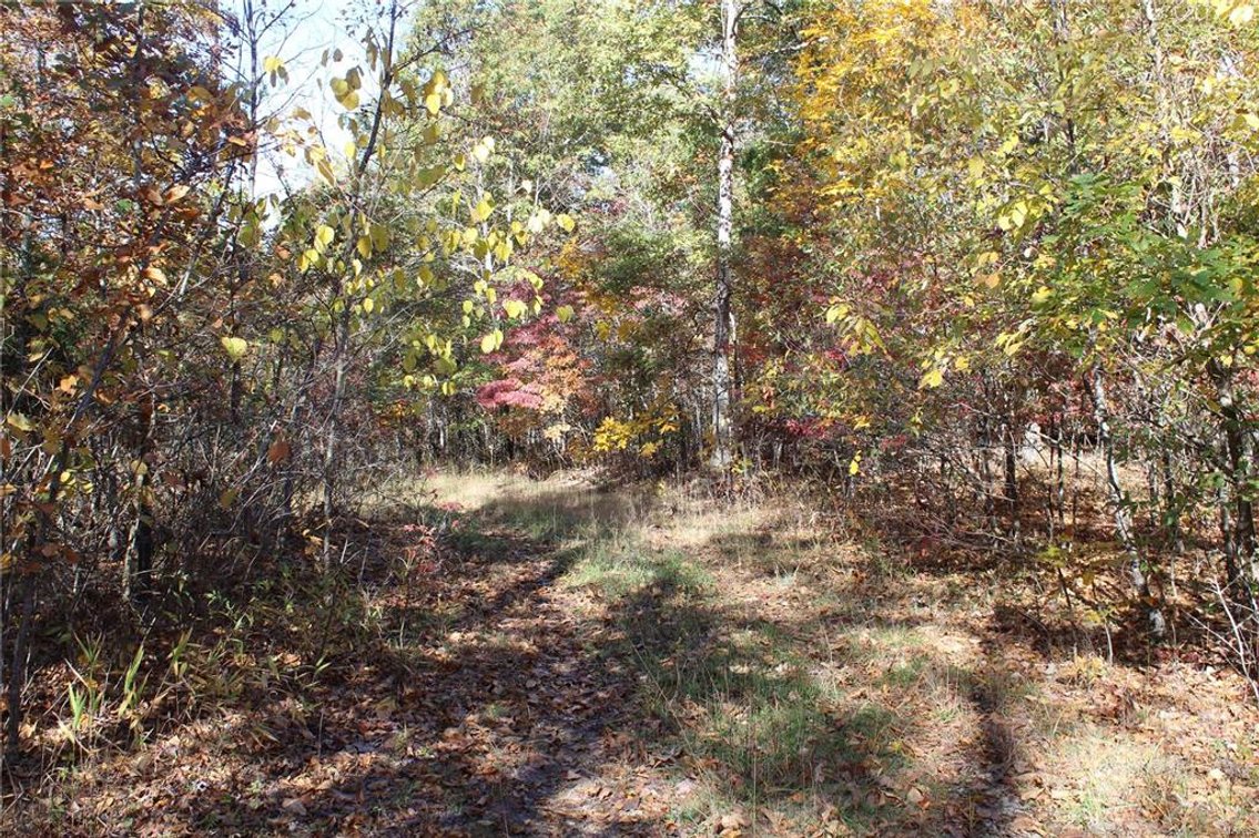 Image for 40 Acres M/L, County Road 60-327 Ellsinore 63937, MLS 23064102