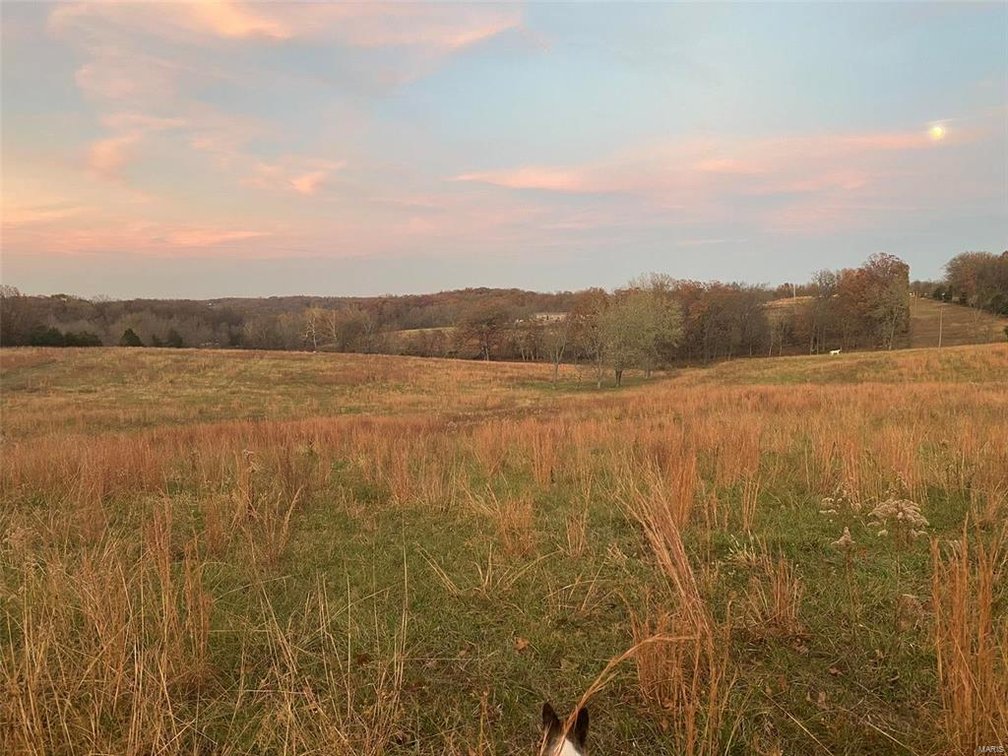 Image for 17.15 Acres M/L, 14351 Hwy KK Sedgewickville, MO 63781, MLS 23056783