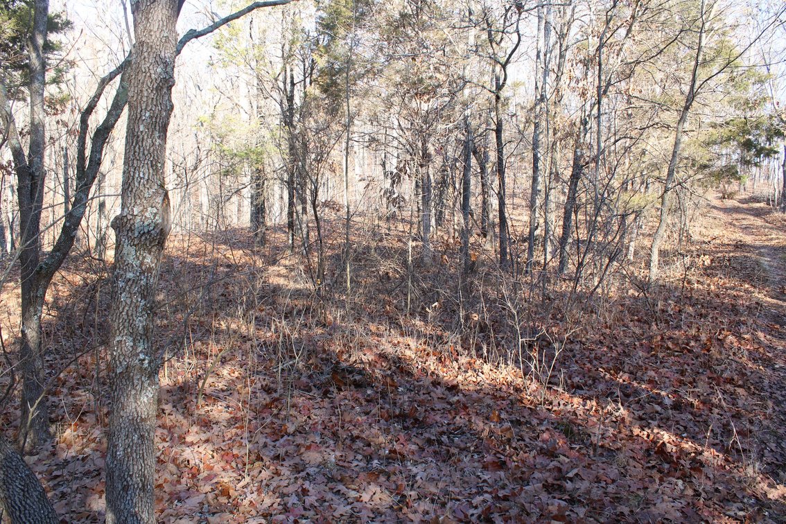 Image for 10.2 +/- Acres, Hidden Valley Lane, Ste Genevieve, MO 63670 (MLS # 24008829)