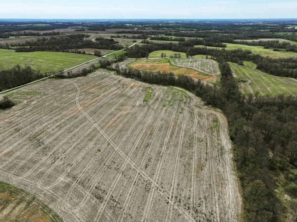 Image for 78.6 Acres M/L, Hollow Road, Purdin MO 64674, MLS 24026174