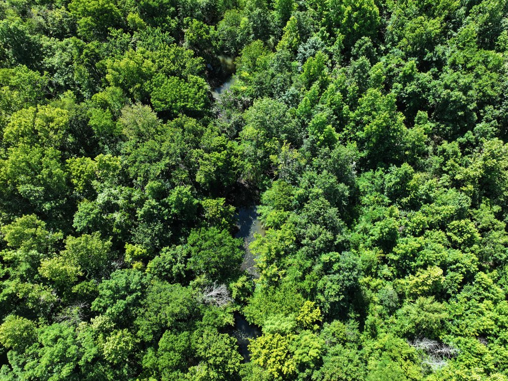 Image for County Road N-3, Doniphan Missouri 63935, MLS #24040216