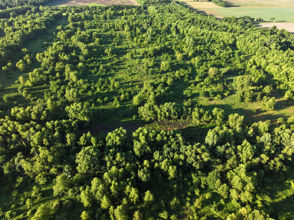 Image for 56 Acres M/L, County Road 727, New Madrid MO 63869, MLS #24041344