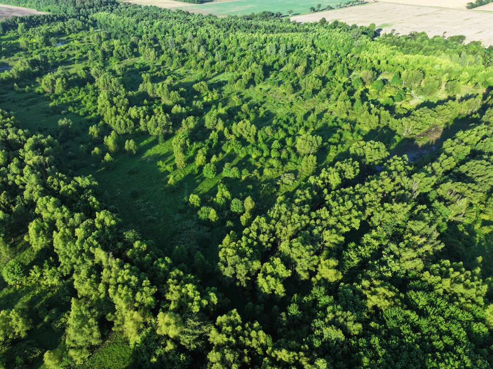 Image for 56 Acres M/L, County Road 727, New Madrid MO 63869, MLS #24041344
