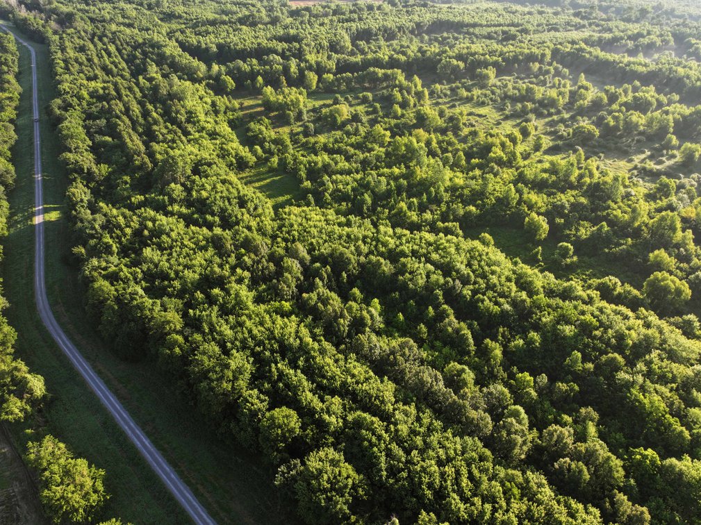 Image for 56 Acres M/L, County Road 727, New Madrid MO 63869, MLS #24041344