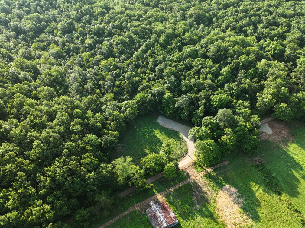 Image for Tract 2, 31.37 Acres, BCR 306 Marble Hill, MO 63764 MLS #2444129