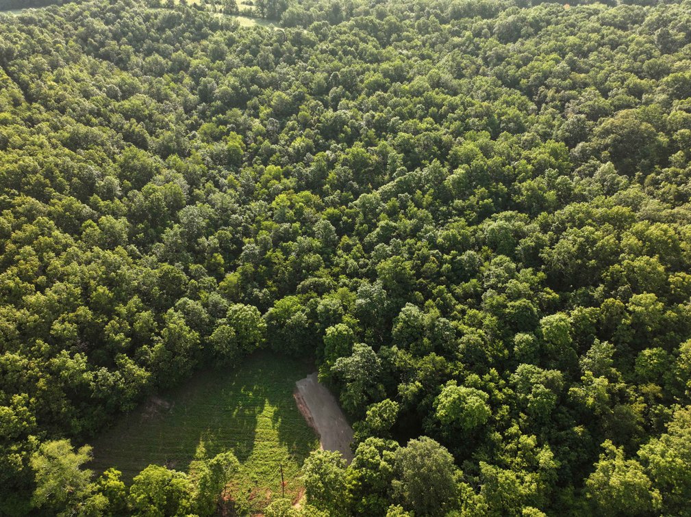 Image for Tract 2, 31.37 Acres, BCR 306 Marble Hill, MO 63764 MLS #2444129