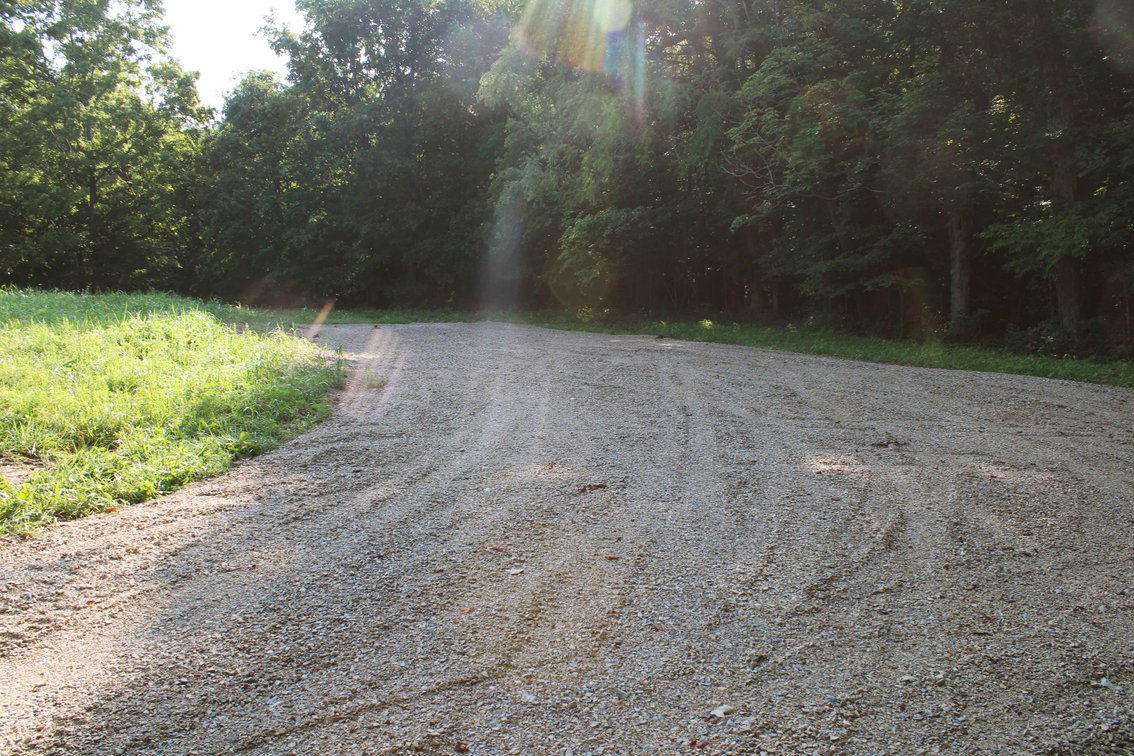 Image for Tract 2, 31.37 Acres, BCR 306 Marble Hill, MO 63764 MLS #2444129