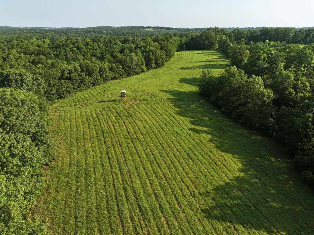Image for Tract 2, 31.37 Acres, BCR 306 Marble Hill, MO 63764 MLS #2444129