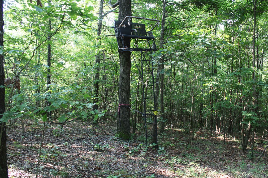 Image for Tract 2, 31.37 Acres, BCR 306 Marble Hill, MO 63764 MLS #2444129