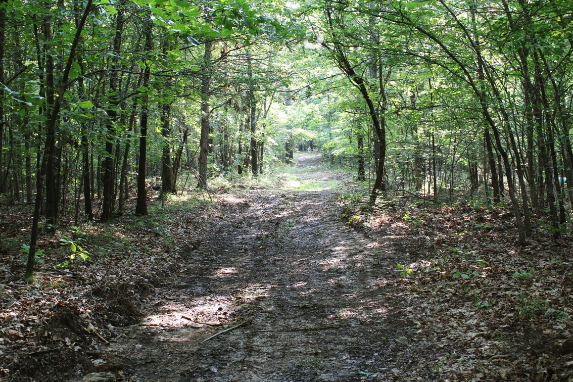 Image for Tract 2, 31.37 Acres, BCR 306 Marble Hill, MO 63764 MLS #2444129
