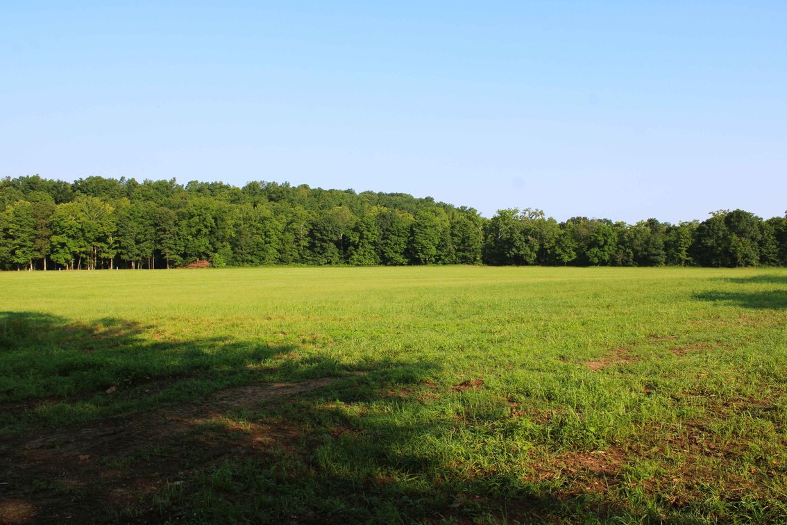 Image for Tract 3, BCR 306 Marble Hill, MO 63764, MLS #224044135