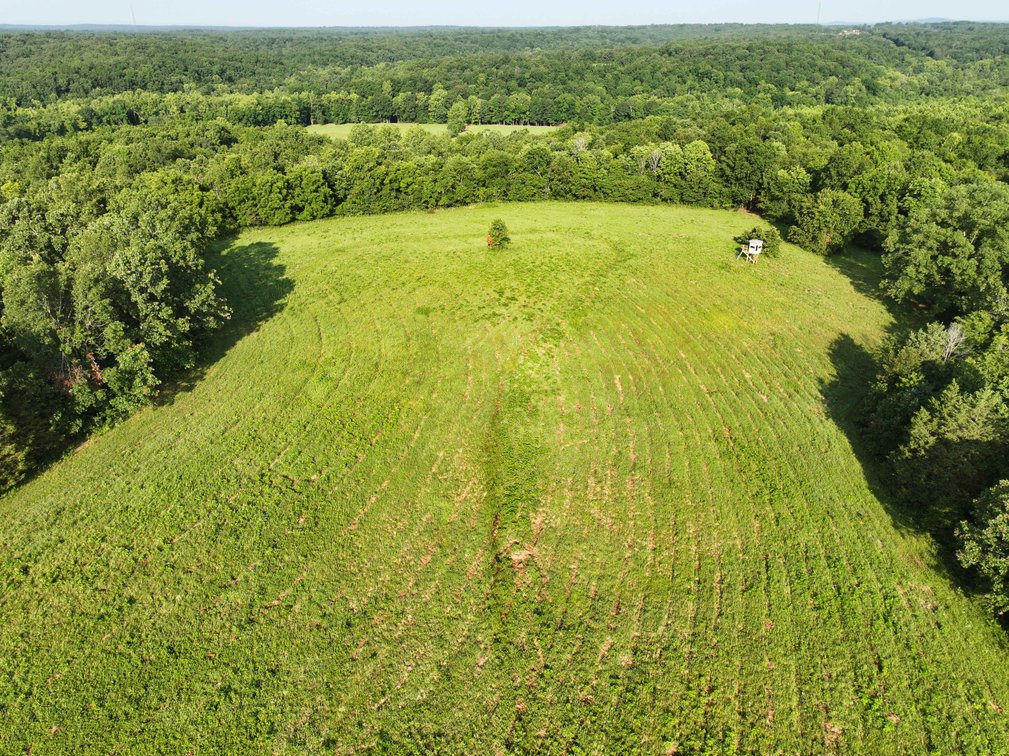 Image for Tract 4, BCR 306 Marble Hill, MO 63764