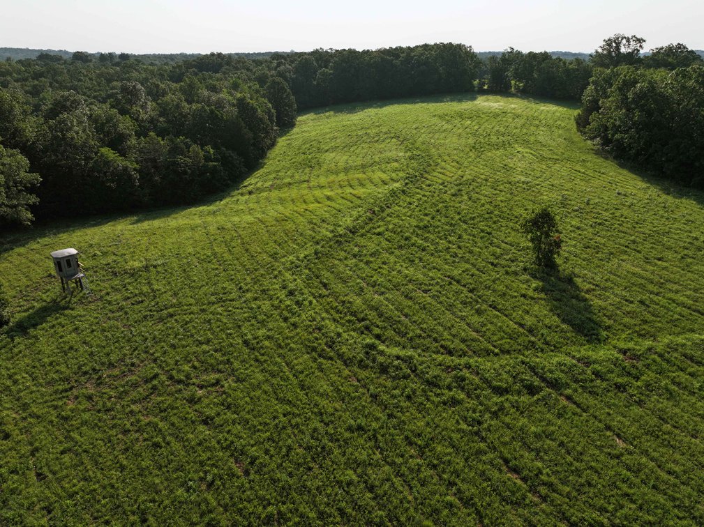Image for Tract 4, BCR 306 Marble Hill, MO 63764