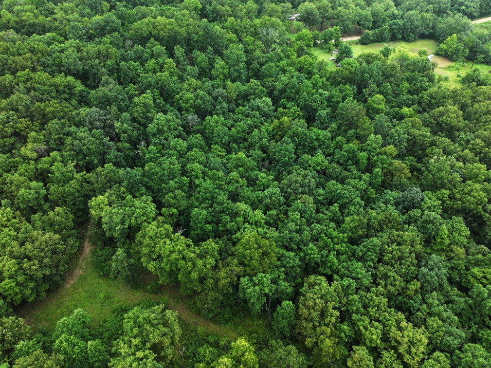 Image for 19.43 Acres M/L, BCR 500 Marble Hill, MO, 63764, MLS #24044744