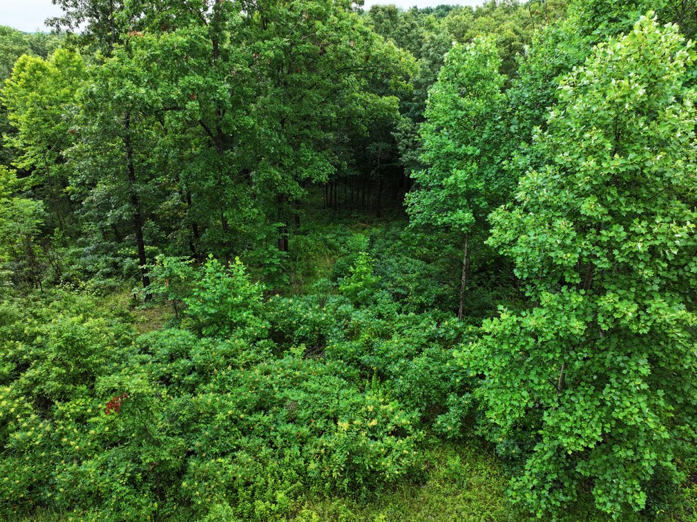 Image for 19.43 Acres M/L, BCR 500 Marble Hill, MO, 63764, MLS #24044744