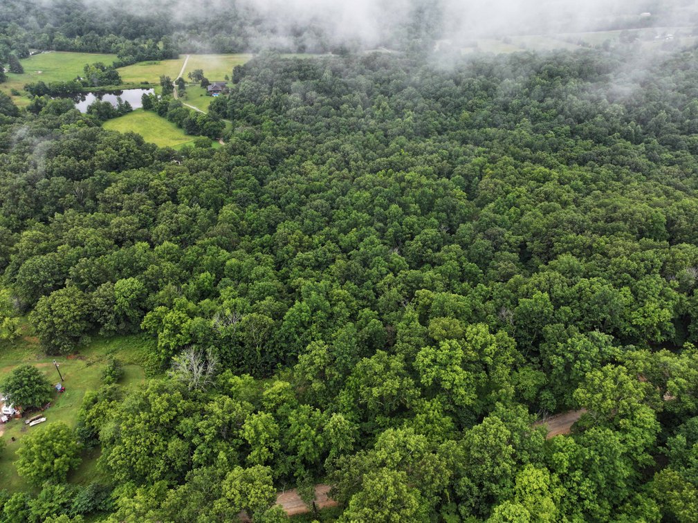 Image for 19.43 Acres M/L, BCR 500 Marble Hill, MO, 63764, MLS #24044744