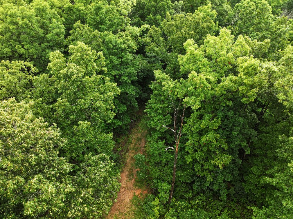 Image for 19.43 Acres M/L, BCR 500 Marble Hill, MO, 63764, MLS #24044744