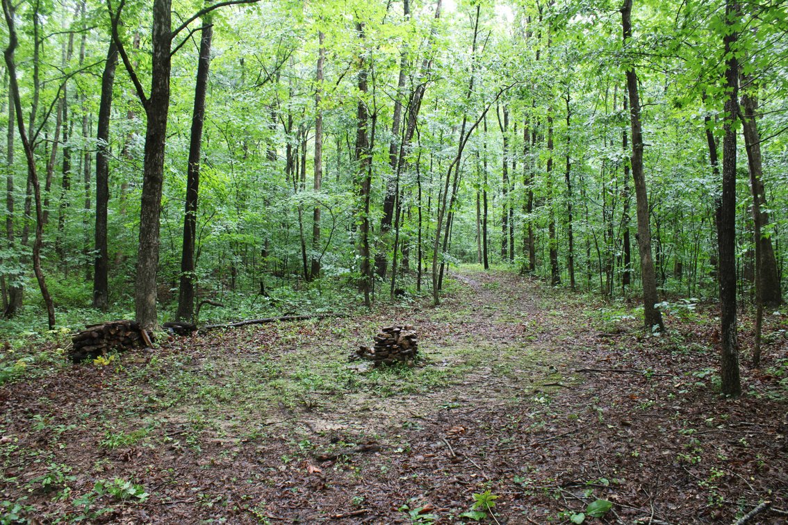 Image for 19.43 Acres M/L, BCR 500 Marble Hill, MO, 63764, MLS #24044744