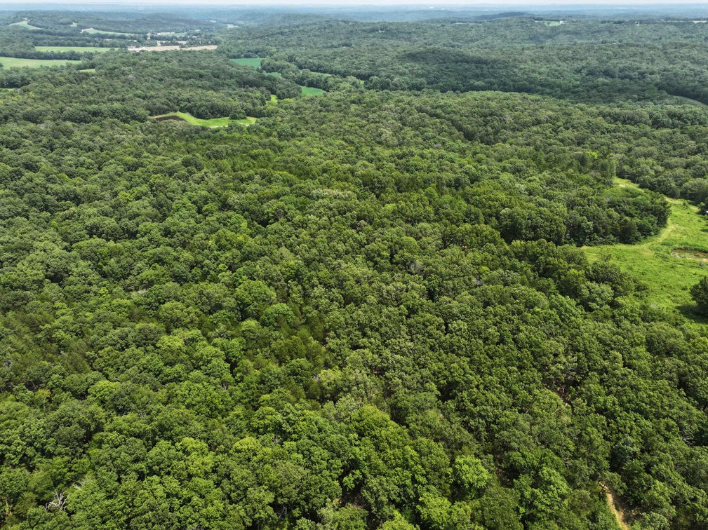 Image for 49.73 Ac M/L, 1231 PCR 846 Perryville, MO 63775, MLS 24049437