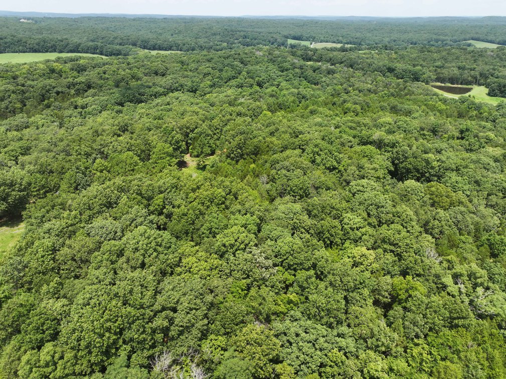 Image for 49.73 Ac M/L, 1231 PCR 846 Perryville, MO 63775, MLS 24049437