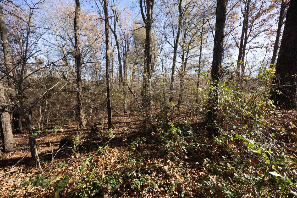 Image for 123.4 Acres +/- Off Hwy DD, Fisk MO 63940, MLS #25079160
