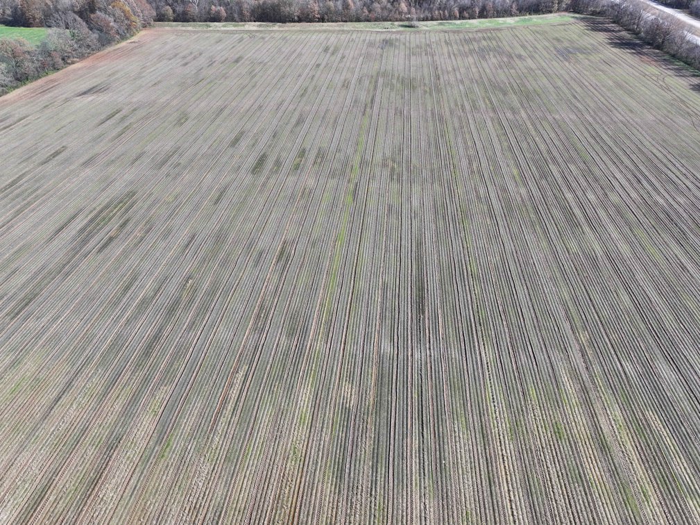 Image for 123.4 Acres +/- Off Hwy DD, Fisk MO 63940, MLS #25079160