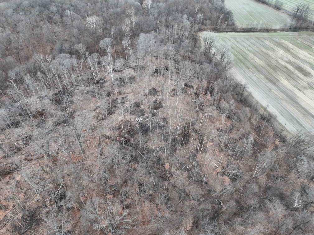 Image for 350 Ac m/l, Off PCR 210, Perryville MO 63775, MLS # 25082913