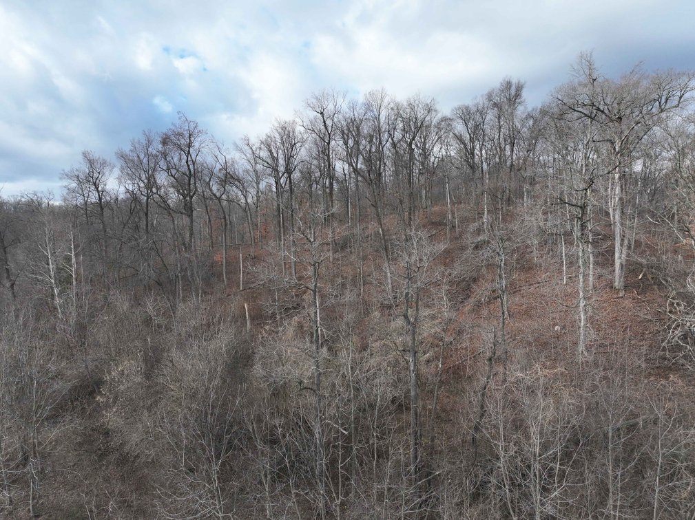 Image for 350 Ac m/l, Off PCR 210, Perryville MO 63775, MLS # 25082913