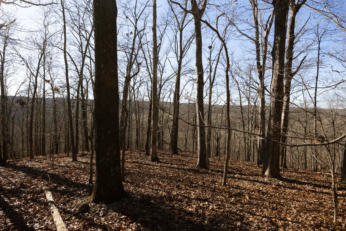 Image for 101.02 Acres M/L 23609 State Hwy OO, Marble Hill, MO 63764, MLS #26012337