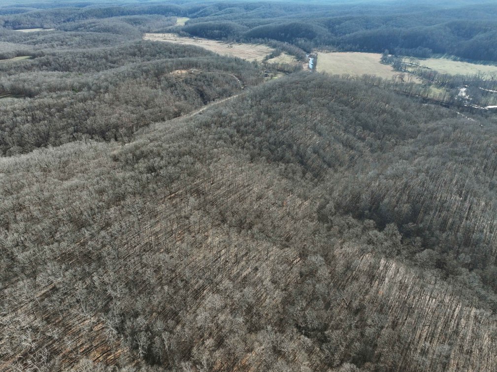 Image for 101.02 Acres M/L 23609 State Hwy OO, Marble Hill, MO 63764, MLS #26012337