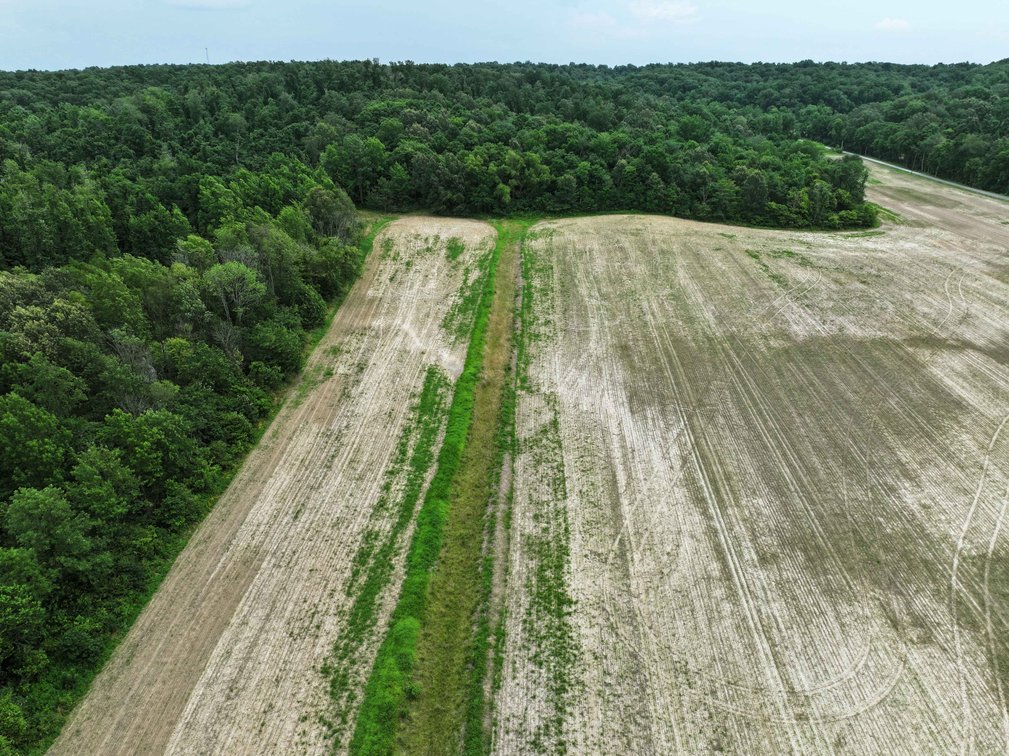 Image for 21.07 Ac m/l Tract 3 Off County Road 259 Advance, MO 63730, MLS # 26000255