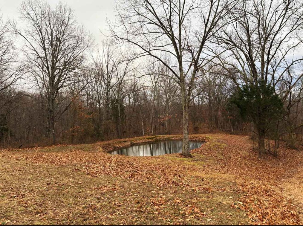 Image for 20 +/- Acres, 701 Catalpa Lane, Jackson MO 63755, MLS # 26005265