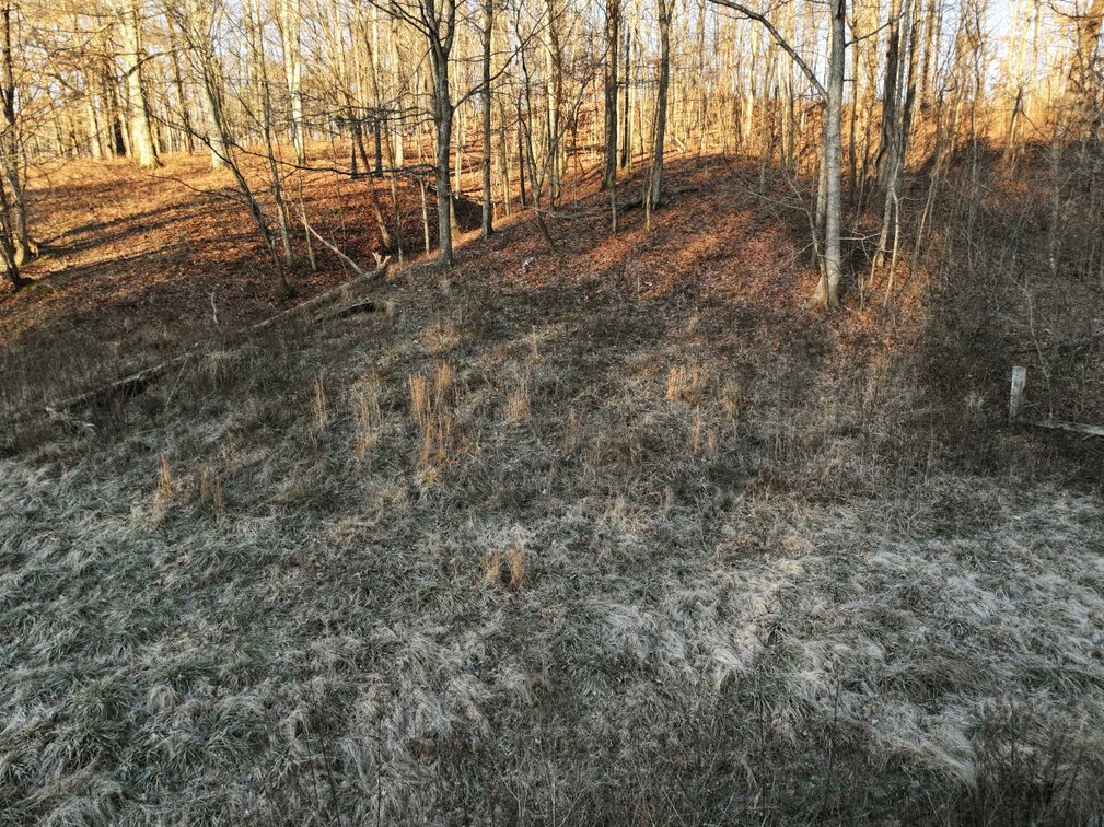Image for 16.4 +/- Acres, Off County Road 535, Jackson MO 63755, MLS # 26003293