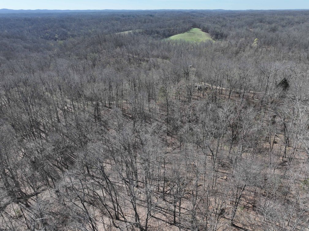 Image for 23.43 Ac +/-, Tract 3, Catalpa Ln, Jackson MO 63755, MLS 26018186
