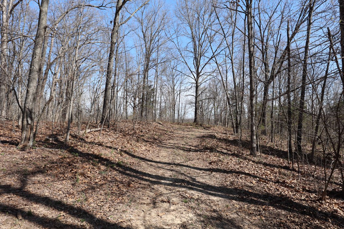 Image for 23.43 Ac +/-, Tract 3, Catalpa Ln, Jackson MO 63755, MLS 26018186