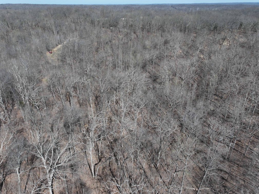 Image for 23.43 Ac +/-, Tract 3, Catalpa Ln, Jackson MO 63755, MLS 26018186
