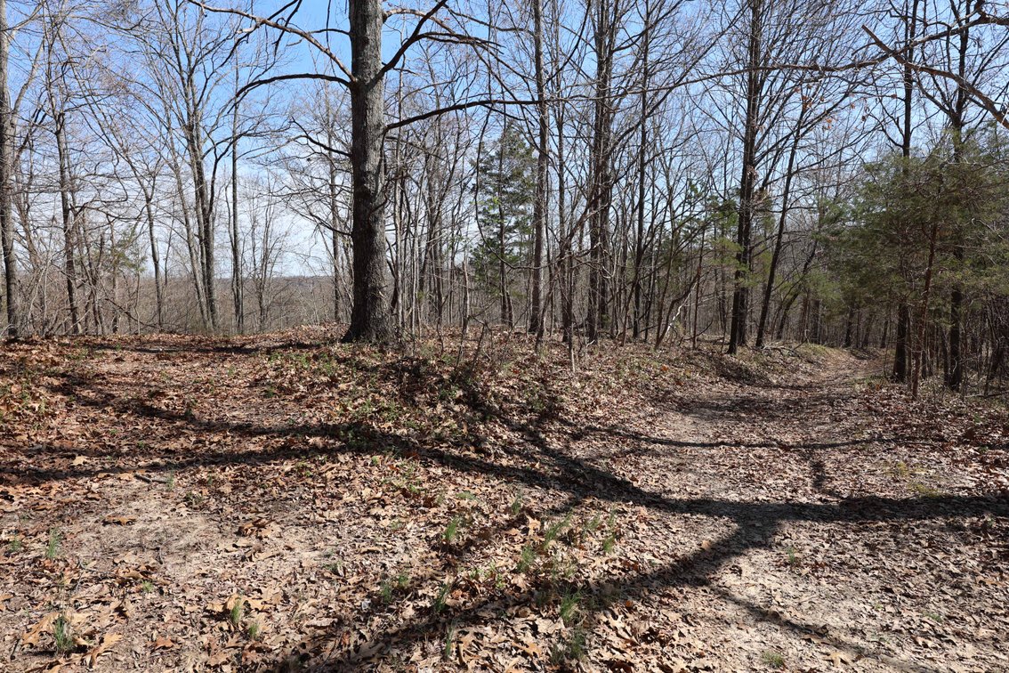 Image for 23.43 Ac +/-, Tract 3, Catalpa Ln, Jackson MO 63755, MLS 26018186