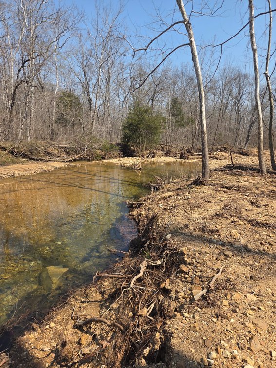 Image for 25.5 Acres +/-, Tract 1 Off BCR 930, Patton Missouri 63662, MLS #25075217
