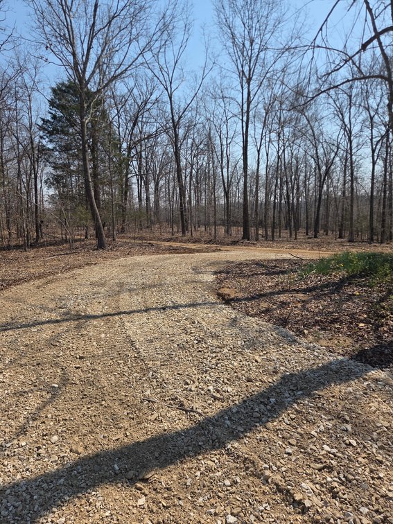 Image for 25.5 Acres +/-, Tract 1 Off BCR 930, Patton Missouri 63662, MLS #25075217