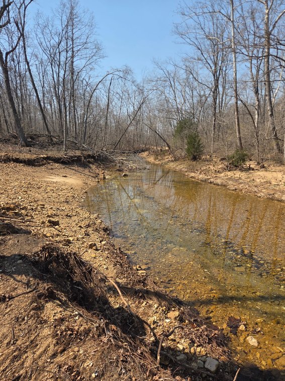 Image for 25.5 Acres +/-, Tract 1 Off BCR 930, Patton Missouri 63662, MLS #25075217