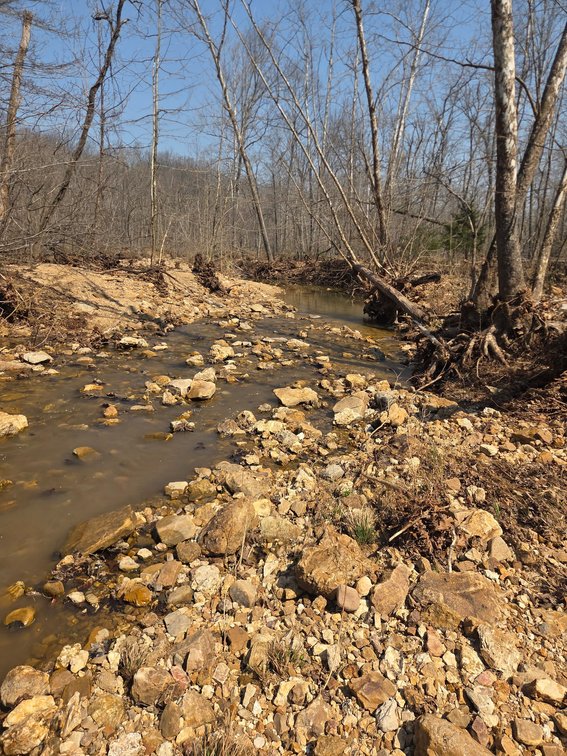 Image for 25.5 Acres +/-, Tract 1 Off BCR 930, Patton Missouri 63662, MLS #25075217
