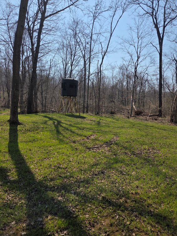 Image for 25.5 Acres +/-, Tract 1 Off BCR 930, Patton Missouri 63662, MLS #25075217