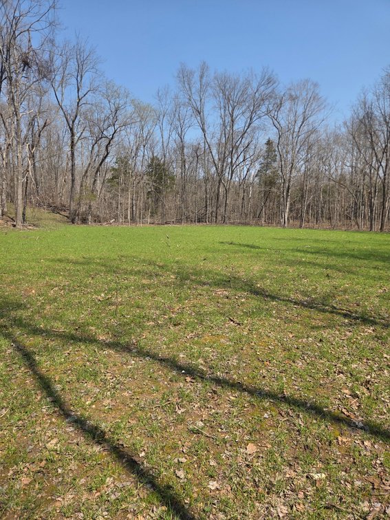 Image for 29.0 +/- Acres, Tract 2 Off BCR 930, Patton MO 63662, MLS # 25075221