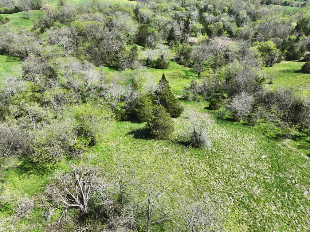 Image for 5459 Highway A, Frohna MO 63748