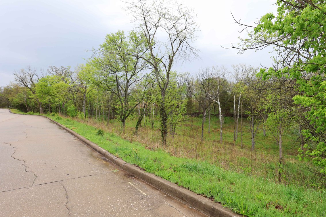 Image for Lot 12, 13, 14 Dorothy Dr, Perryville MO 63775, MLS #26021663