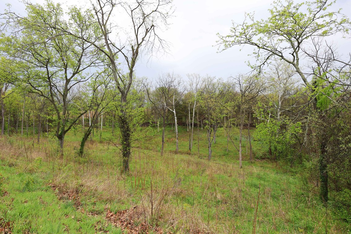 Image for Lot 12, 13, 14 Dorothy Dr, Perryville MO 63775, MLS #26021663