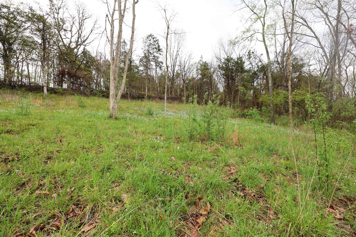 Image for Lot 12, 13, 14 Dorothy Dr, Perryville MO 63775, MLS #26021663