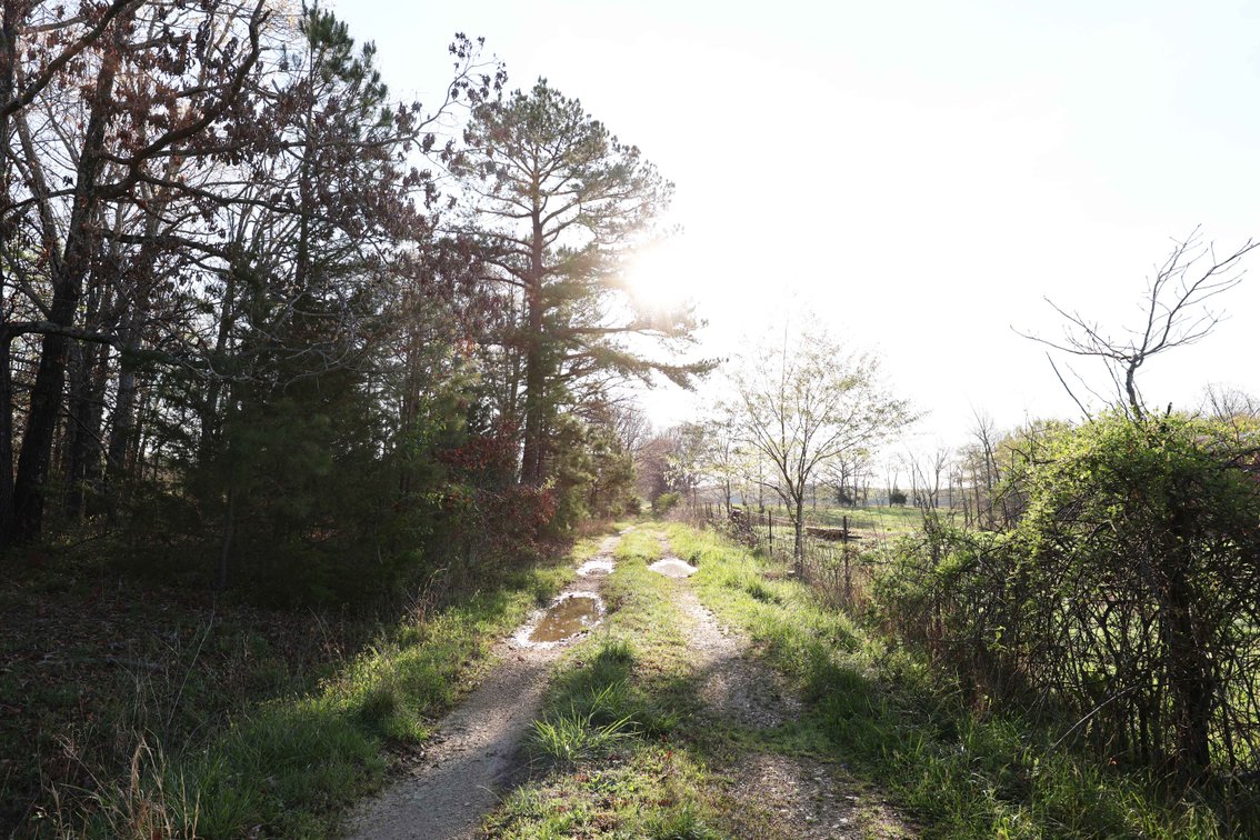 Image for Tract 1 State Hwy DD, Glen Allen, MO 63655, MLS #26022374