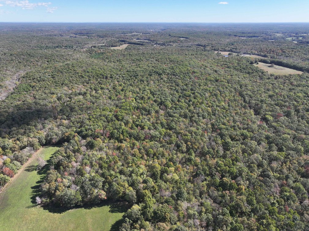 Image for Tract 3 State Hwy DD, Glen Allen, MO 63655, MLS #26022418